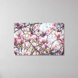 Magnolia blooming tree canvas afdruk