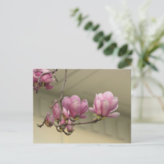 Magnolia Blooms Briefkaart (Staand voorkant)