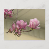 Magnolia Blooms Briefkaart (Voorkant)