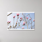 Magnolia Blooms Canvas Afdruk (Voorkant)