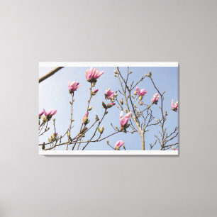 Magnolia Blooms Canvas Afdruk