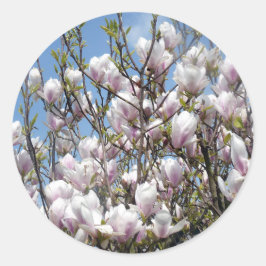 Magnolia Blooms in Stickers van het voorjaar
