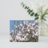 Magnolia Blooms in voorjaar Briefkaart (Staand voorkant)