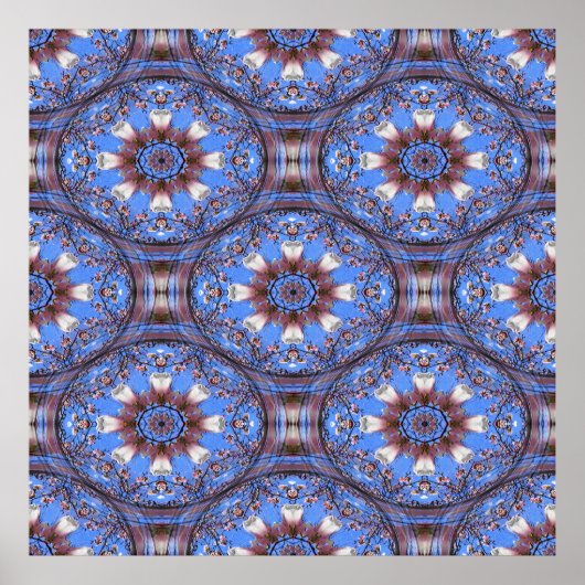 Magnolia Blooms..... Poster (Voorkant)