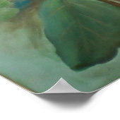 Magnolia Blooms Poster (Hoek)