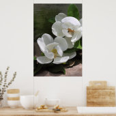 Magnolia Blooms Poster -24x36 -andere maten ook (Keuken)