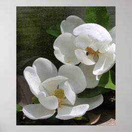 Magnolia Blooms Print -20x24 - andere formaten ook