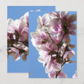 Magnolia Blossom (Voorkant / Achterkant)