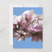 Magnolia Blossom (Achterkant)