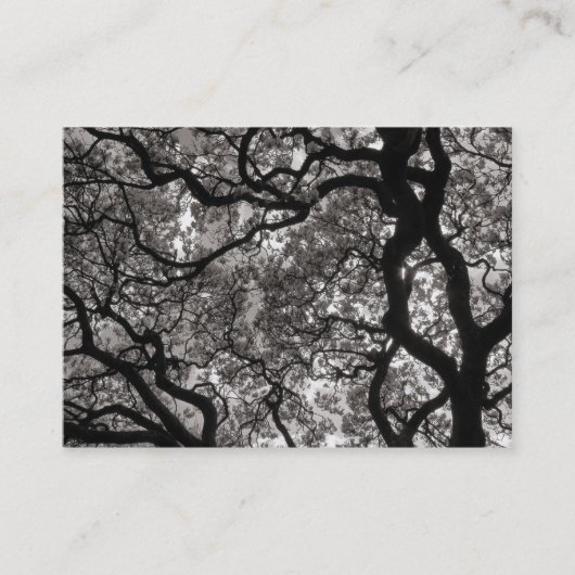 Magnolia Blossom 02 Visitekaartje (Voorkant)