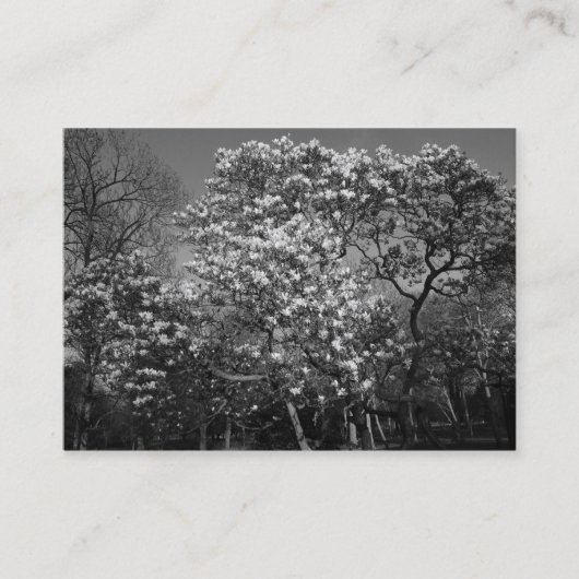 Magnolia Blossom (B&W) Visitekaartje (Voorkant)