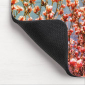 Magnolia Blossom Blue Sky Flower Art Muismat (Hoek)