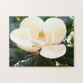 Magnolia Blossom Botanische Boom - Bloem Legpuzzel (Horizontaal)