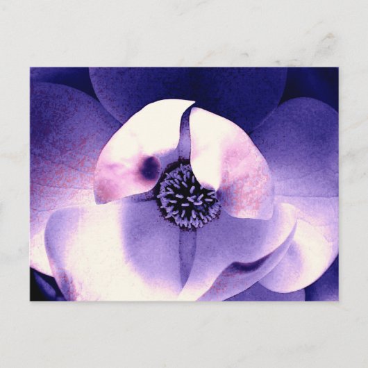 Magnolia Blossom Briefkaart (Voorkant)