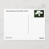 Magnolia Blossom Briefkaart (Achterkant)