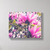 Magnolia Blossom Canvas Afdruk (Voorkant)