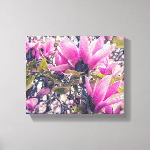 Magnolia Blossom Canvas Afdruk