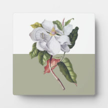  Magnolia Blossom Colorblock