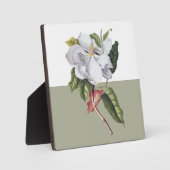  Magnolia Blossom Colorblock Fotoplaat (Voorkant)