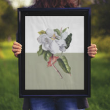  Magnolia Blossom Colorblock