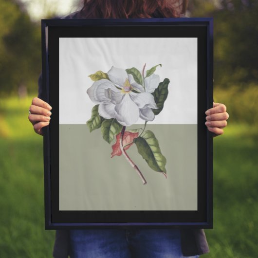  Magnolia Blossom Colorblock Poster