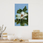 Magnolia Blossom Flower Poster Print (Keuken)