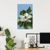 Magnolia Blossom Flower Poster Print (Thuiskantoor)