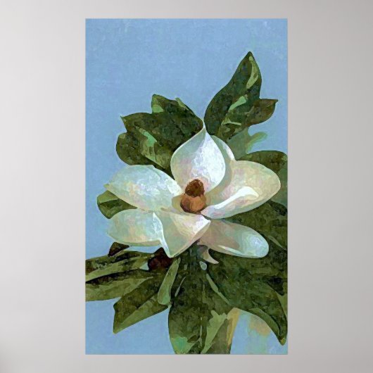 Magnolia Blossom Flower Poster Print (Voorkant)