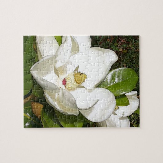 Magnolia Blossom Legpuzzel (Horizontaal)