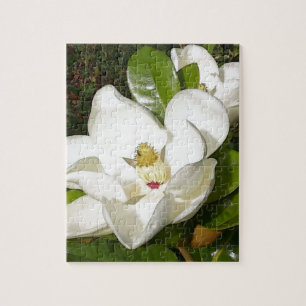 Magnolia Blossom Legpuzzel