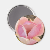 Magnolia Blossom Magneet (Voorkant / Achterkant)