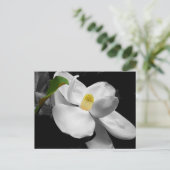 Magnolia Blossom Marketing Briefkaart (Staand voorkant)