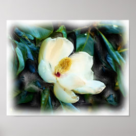 Magnolia Blossom olieverfschilderij Digitale kunst Poster