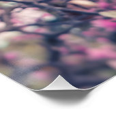 Magnolia Blossom Perfect Poster (Hoek)