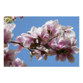 Magnolia Blossom Perfect Poster (Voorkant)