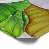 Magnolia Blossom Poster (Hoek)