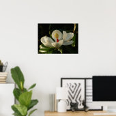 Magnolia Blossom Poster (Thuiskantoor)