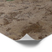 Magnolia Blossom Poster (Hoek)