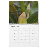Magnolia Blossom - Prachtige fotografische Floral Kalender (Feb 2026)