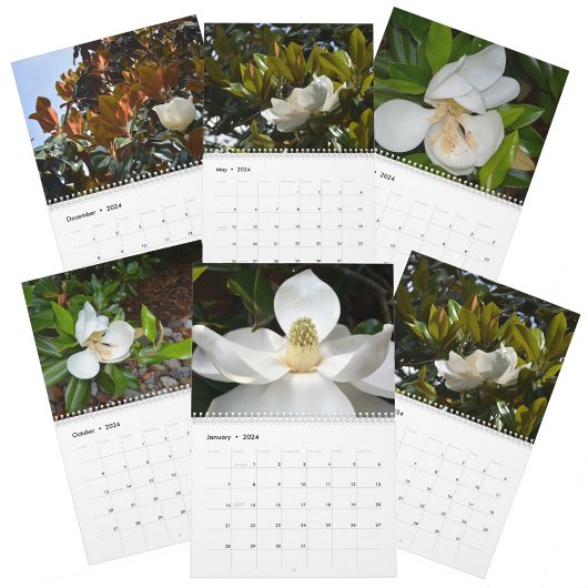 Magnolia Blossom - Prachtige fotografische Floral Kalender
