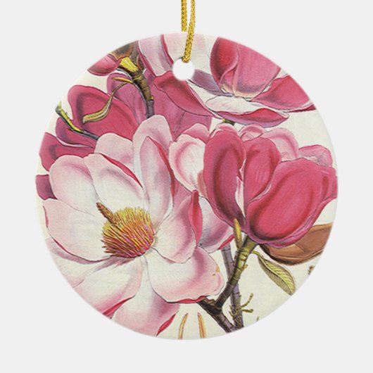  Magnolia Blossom, roze tuinbloemen Keramisch Ornament (Voorkant)