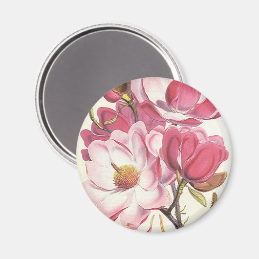  Magnolia Blossom, roze tuinbloemen Magneet (Voorkant / Achterkant)