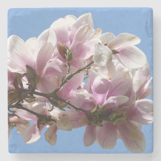 Magnolia Blossom Stenen Onderzetter (Voorkant)