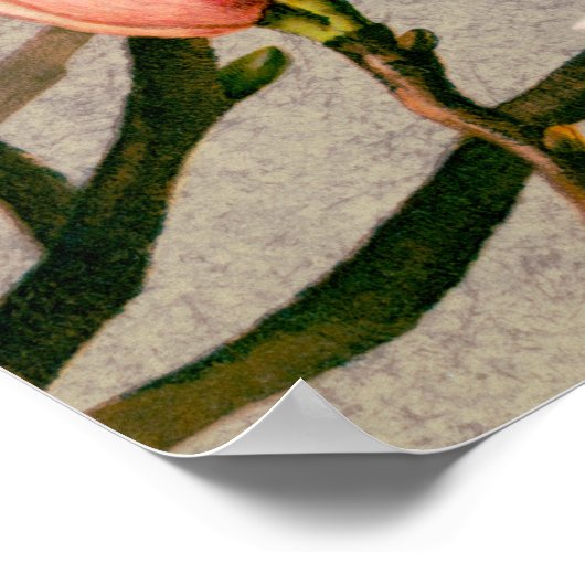 Magnolia Blossom van L. Prang & Co. Poster (Hoek)