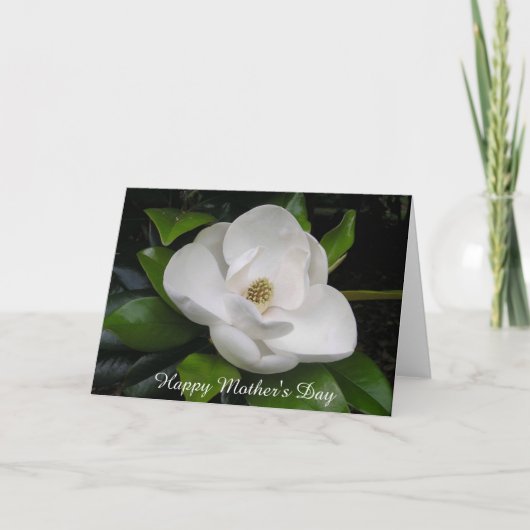 Magnolia Blossom Wenskaart Kaart (Voorkant)