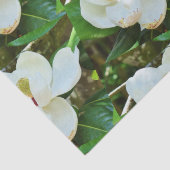 Magnolia BlossomPapier Tissuepapier (Detail)