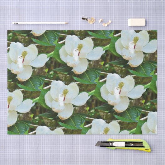 Magnolia BlossomPapier Tissuepapier (Craft)