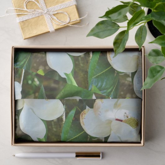 Magnolia BlossomPapier Tissuepapier (Geschenk)