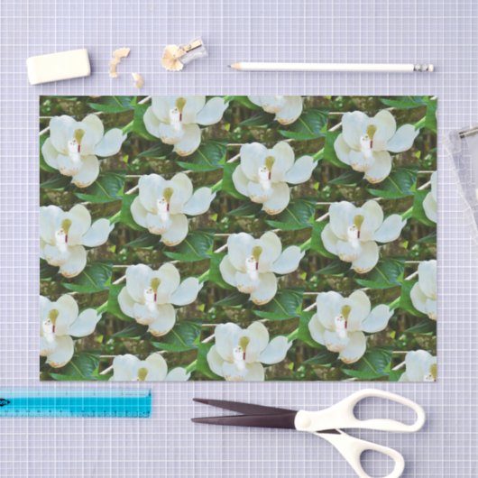 Magnolia BlossomPapier Tissuepapier (Craft)