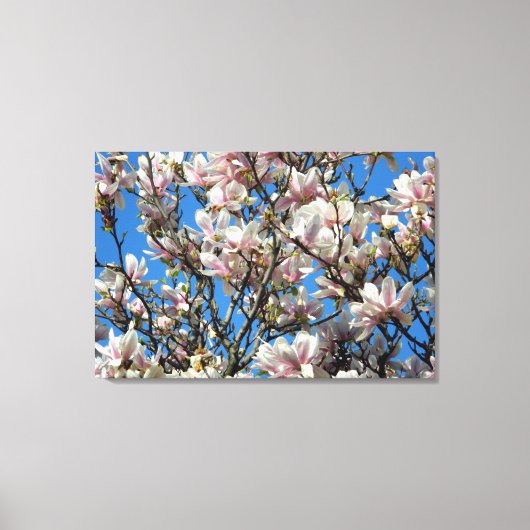 Magnolia Blossoms/Blue Sky Wrapped Canvas Print (Voorkant)